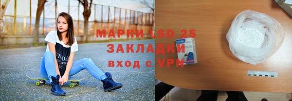 крисы Абаза