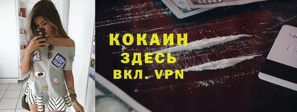 крисы Абаза