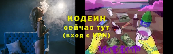 крисы Абаза