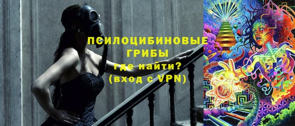 крисы Абаза