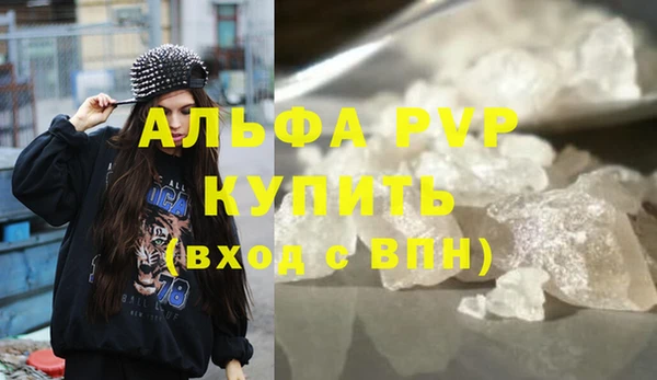 крисы Абаза