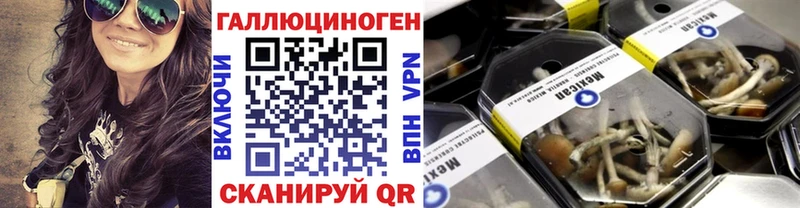 Псилоцибиновые грибы Psilocybine cubensis  где купить   гидра   Усть-Катав 